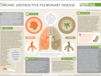 chronic-obstructive-pulmonary-disease-2015
